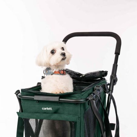 Chariot de course pour animaux Cube P avec chien